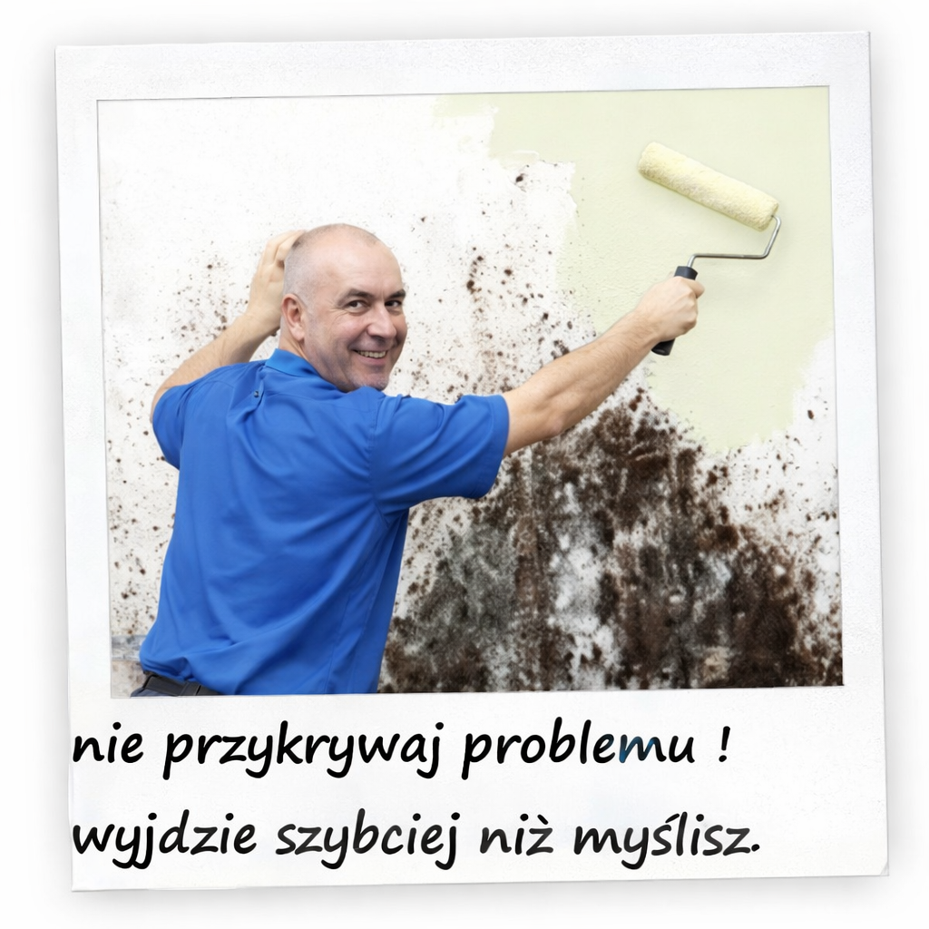 malowanie grzyba na ścianie farbą
